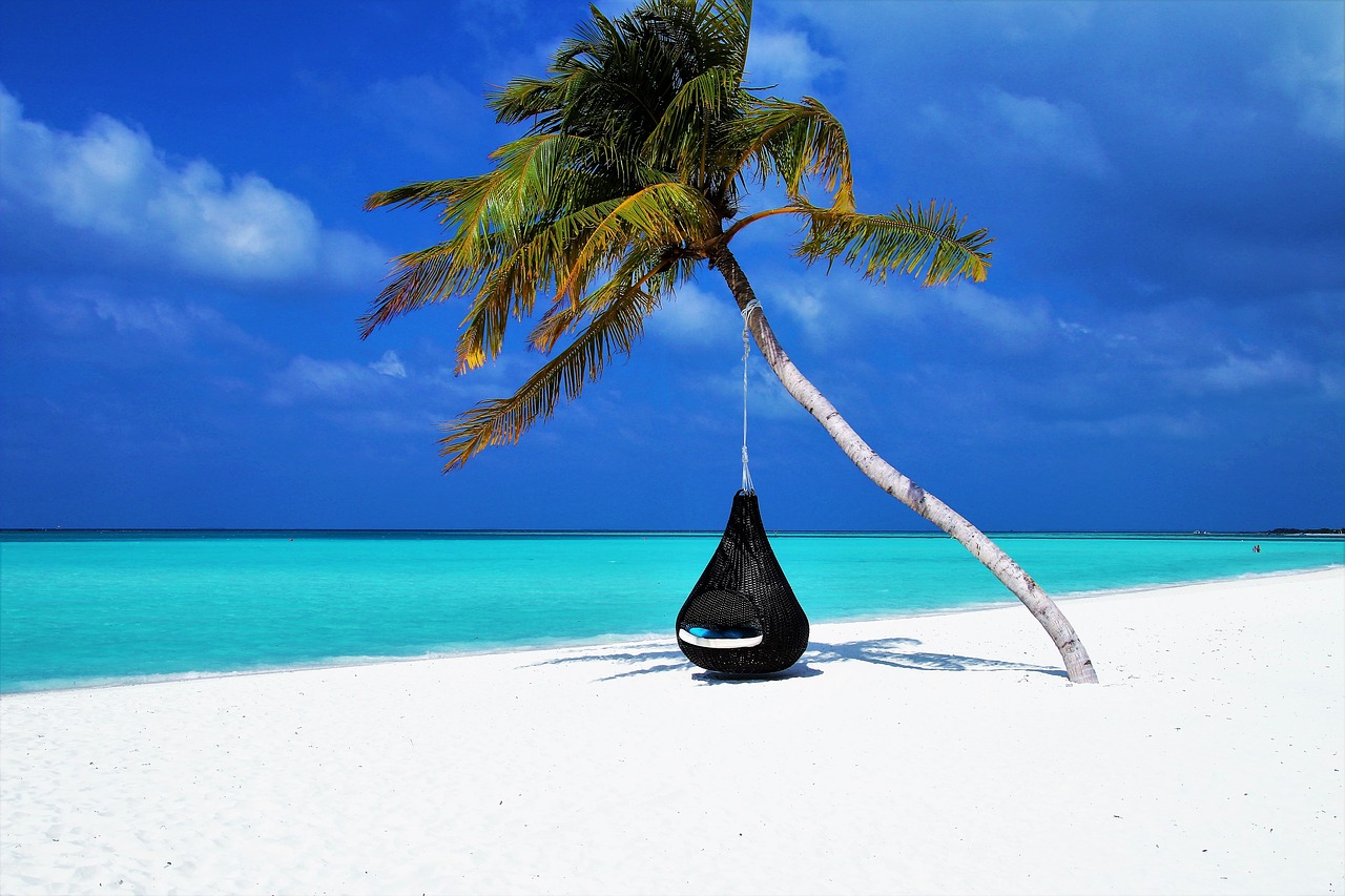 Understanding Transferable Points To Book Cheap Flights