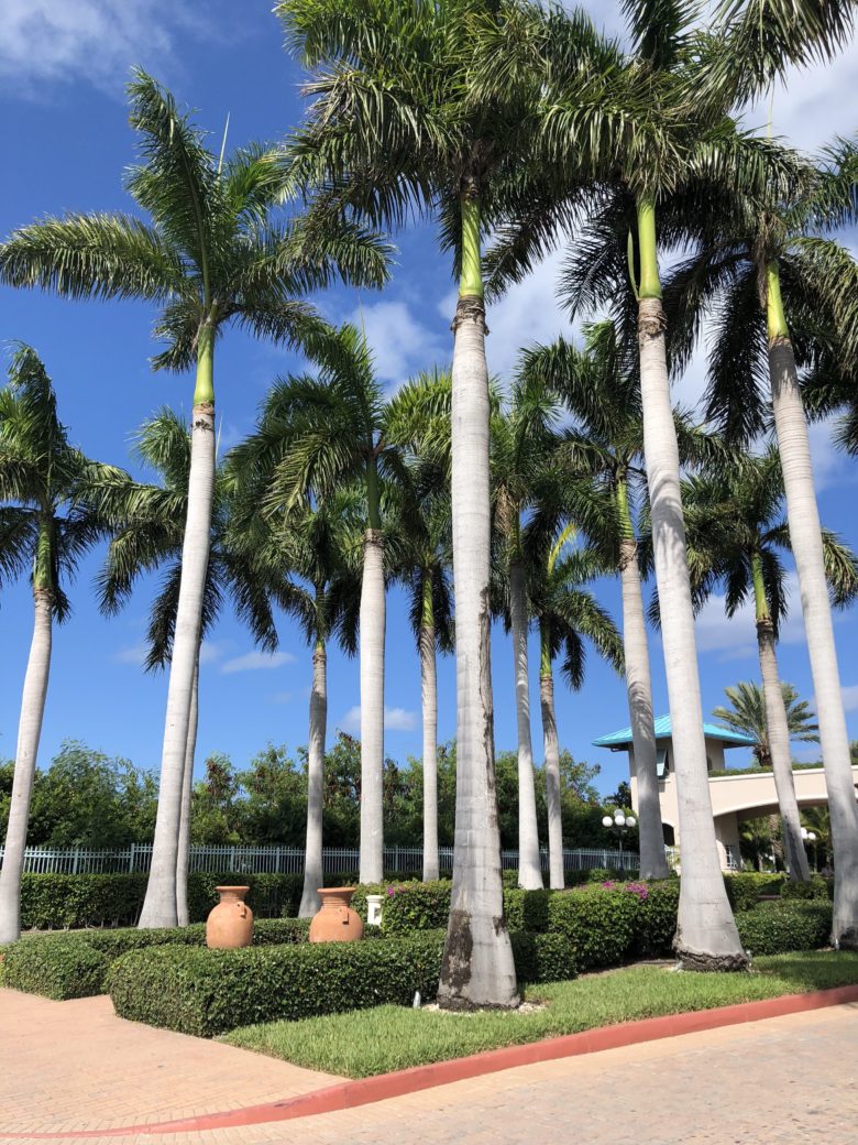 October Travel: Where I Went Last Month