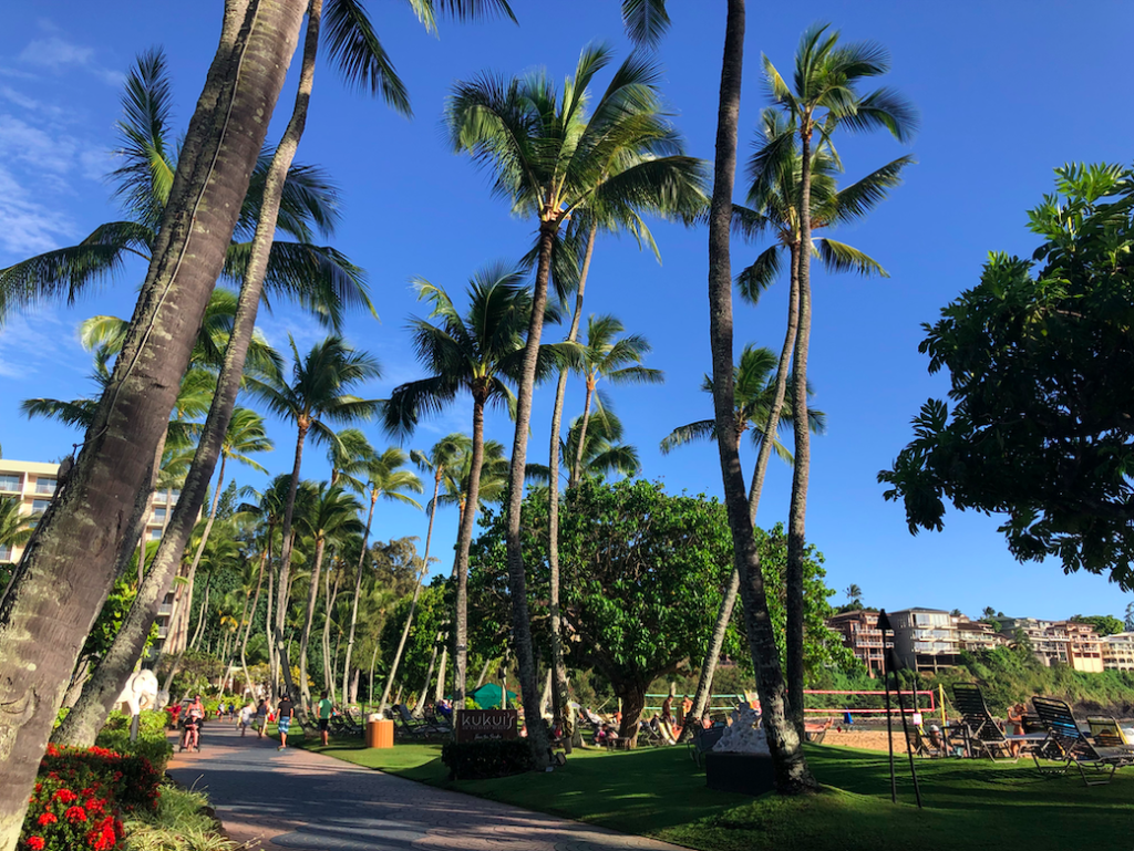 9 Top Things to Do for Kauai Travel featured by top US travel blog, Points With Q, image: Kauai Marriott
