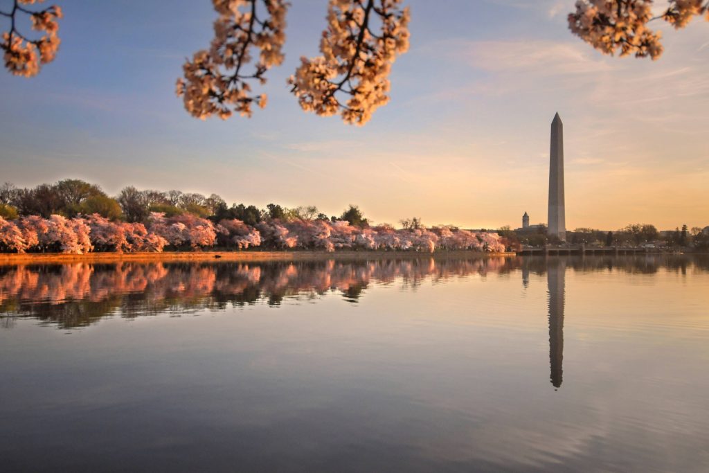 Best Places to Visit for Washington DC Travel in 48 Hours featured by top US travel blog Points With Q, image: Marriott Marquis Washington DC Cherry Blossoms & Tidal Basin