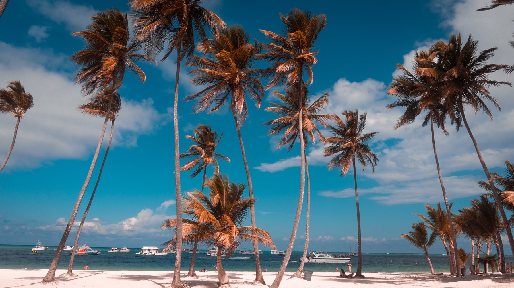 Punta Cana Dominican Republic Travel in 48 Hours