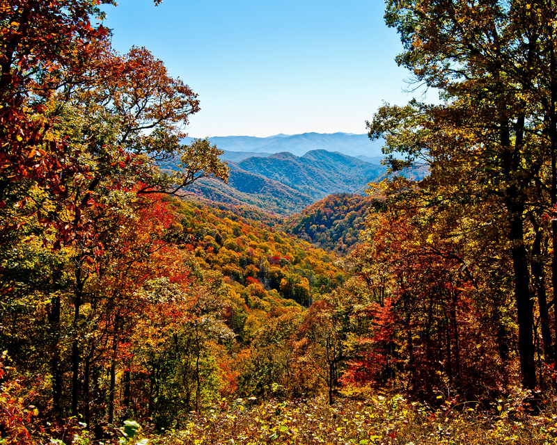 Avianca Vuela Visa Card Review: Earn 3x LifeMiles on Avianca Purchases featured by top US travel blog Points With Q, image: Autumn Great Smoky Mountains National Park Tennessee
