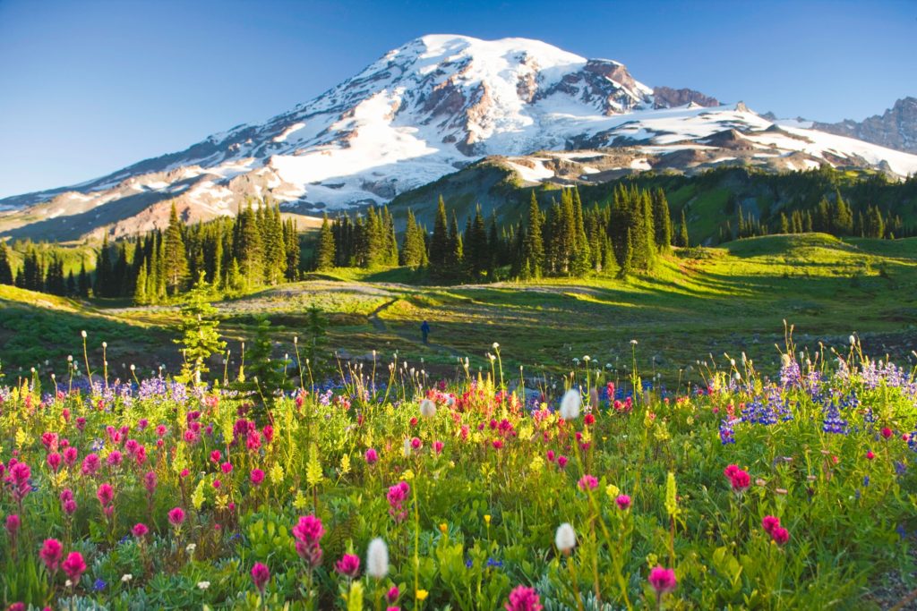 Sheraton Seattle Marriott Mt Rainier National Park