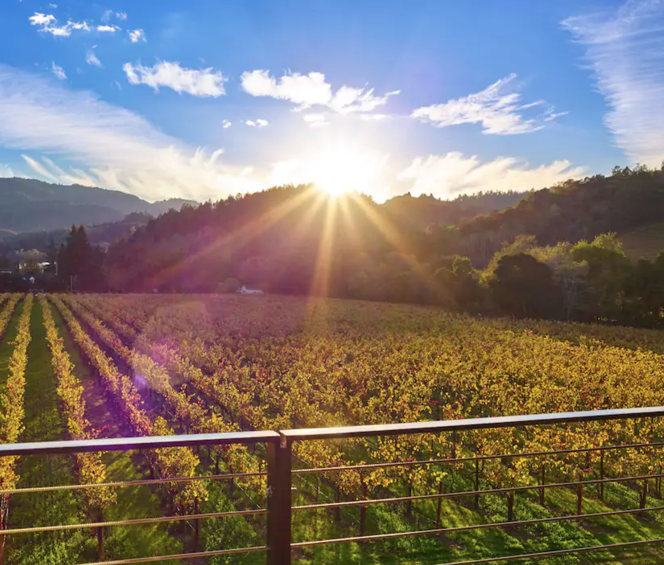 Napa Wineries in 48 Hours: Best Things to do in Napa Valley