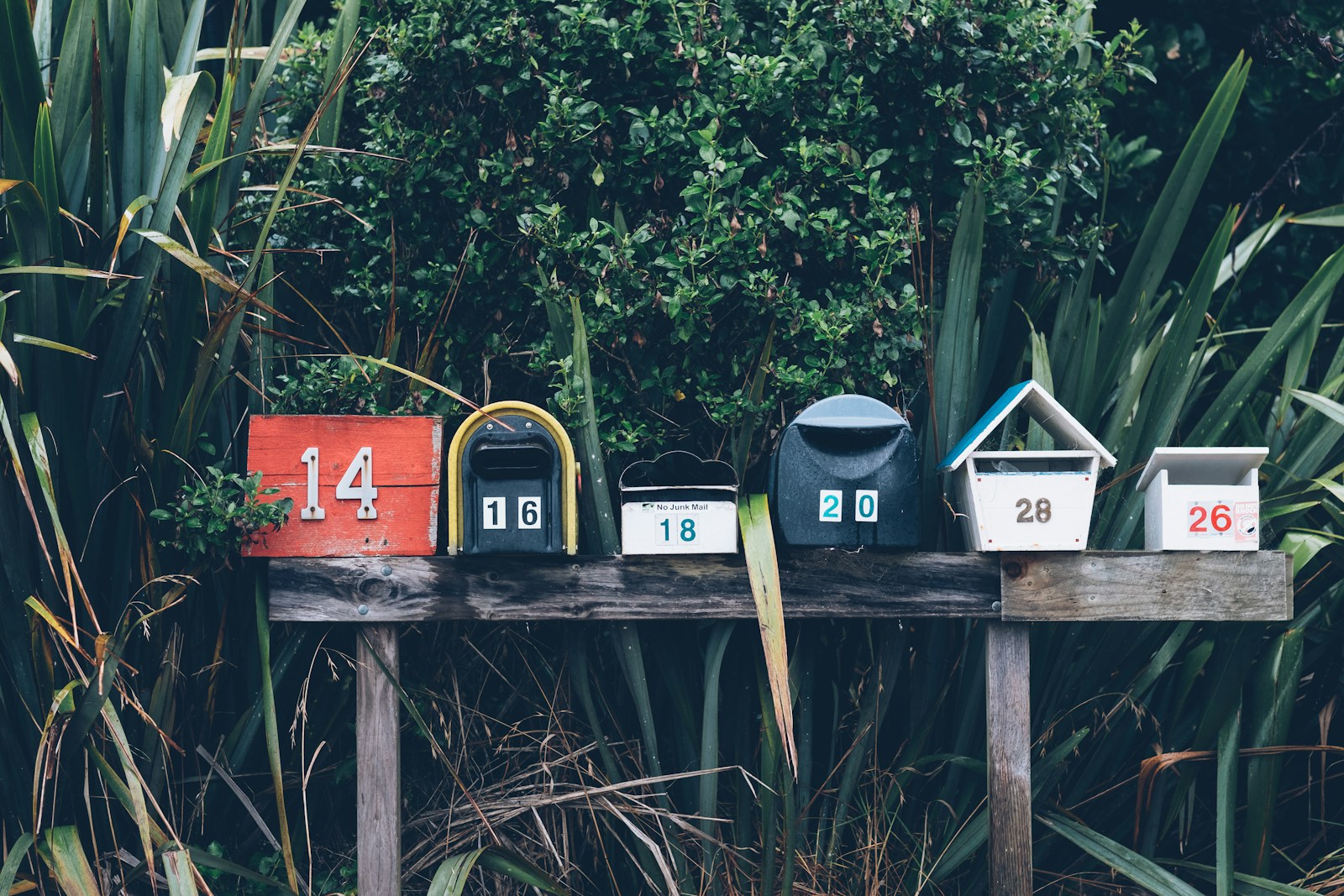 Friday Five – Pause and reflect, Career you enjoy, Mother of good luck