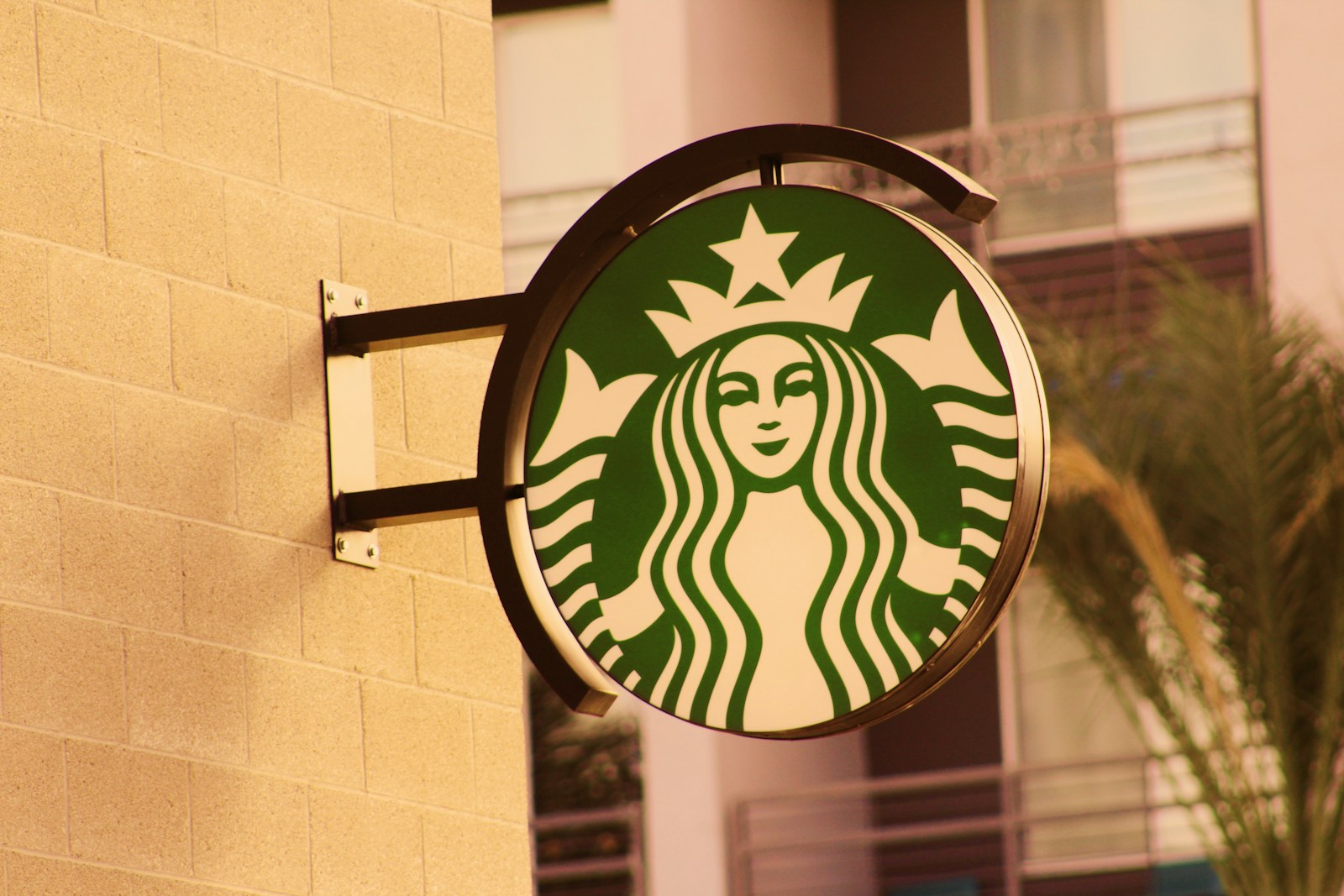 Starbucks Turnaround: How Howard Schultz Saved the Brand