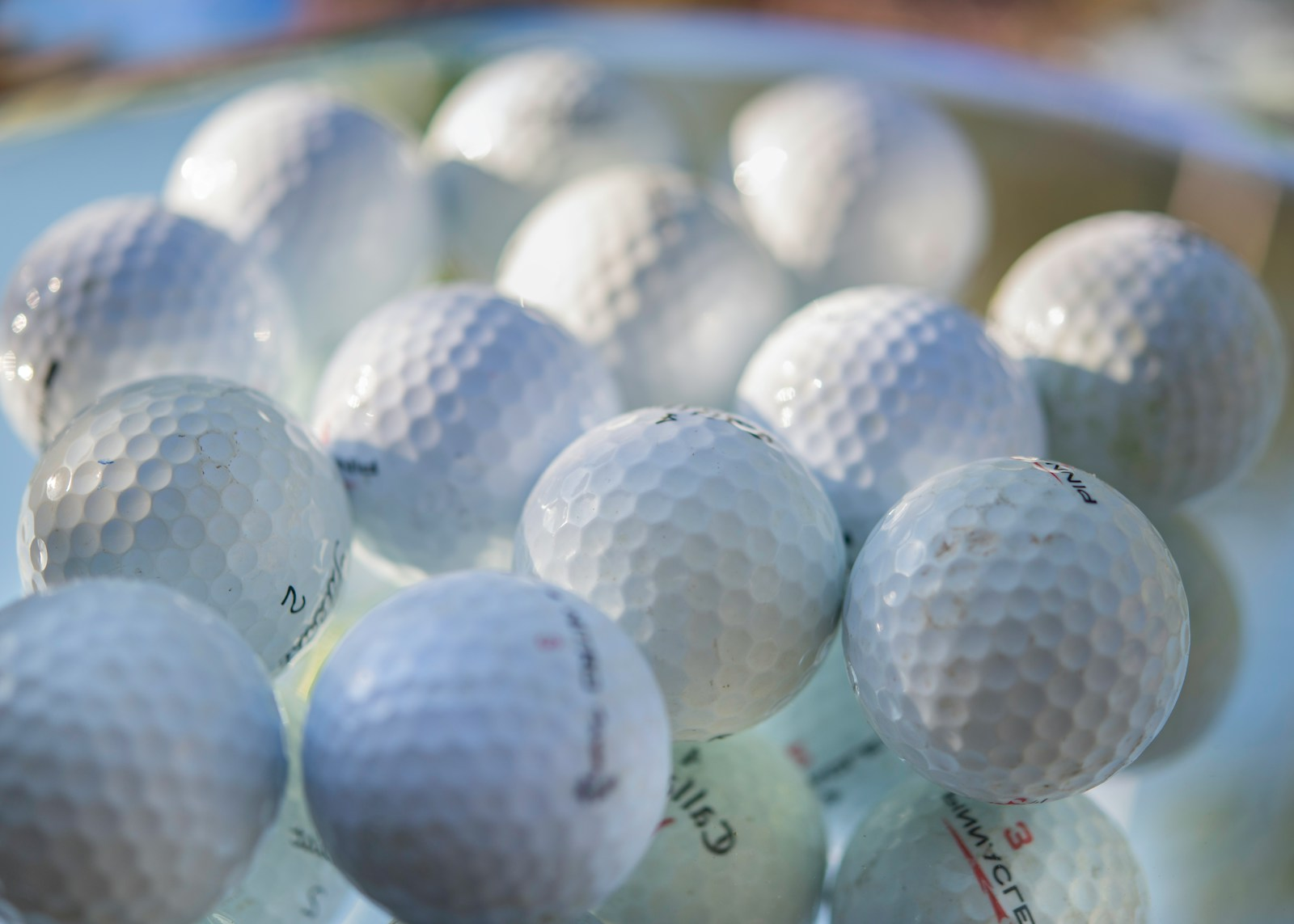 Adapt to Change in Business: The Hidden Advantage Behind Dick’s Sporting Goods